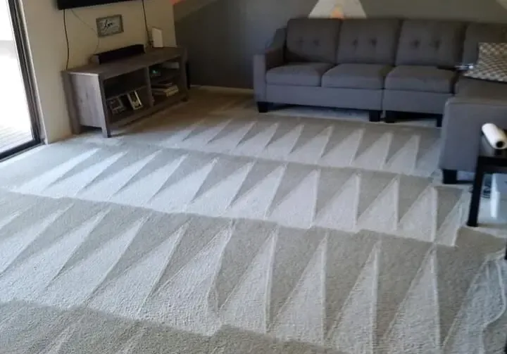Light carpet in a Maryland home after carpet cleaning